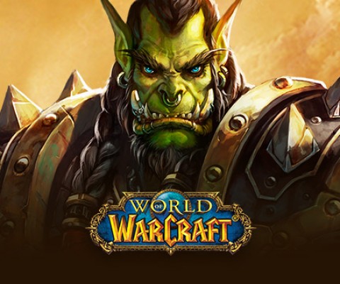 Best Monitors For World Of Warcraft