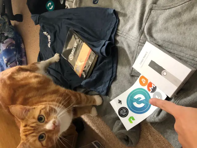 Cryptocurrency Cat