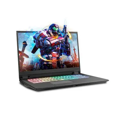 Sager NP8377 Gaming Laptop Review